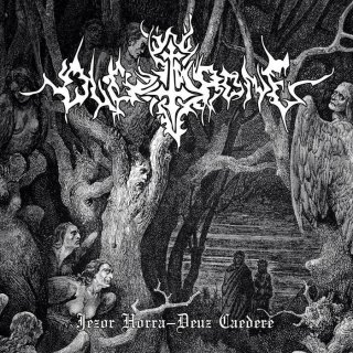 Wolfnacht - Heidentum / CD - Zero Dimensional Records Online Shop