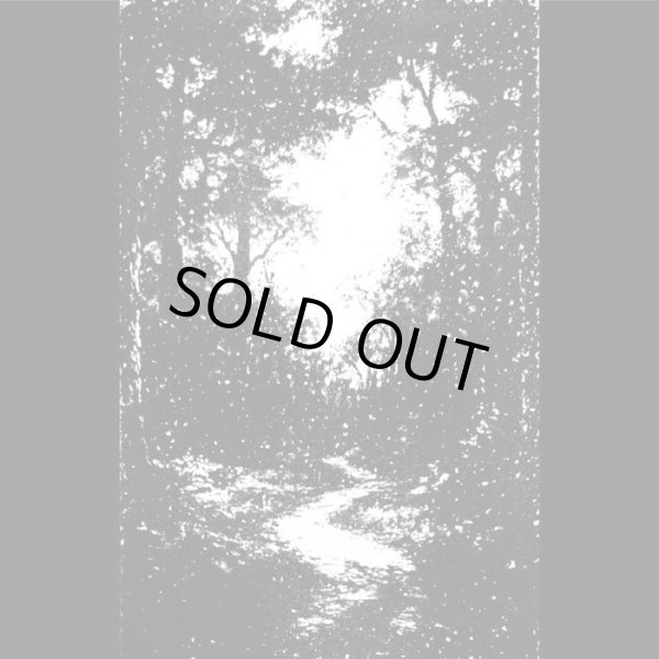 画像1: Kaferpalast / Autumn Mountains - Split / DIY Tape (1)