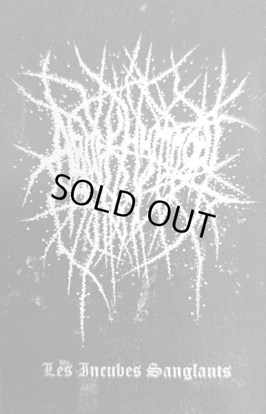 画像1: Agnek Hymnodt - Les Incubes Sanglants / DIY Tape (1)