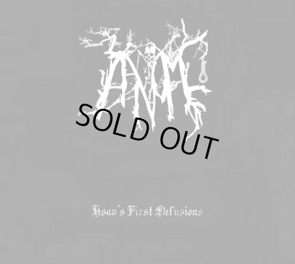 画像1: Aanomm - Hsav's First Delusions / DigiCD (1)