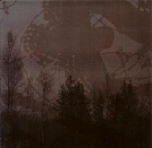 画像1: Inmitten des Waldes / Mortualia - Inmitten Des Waldes / Mortualia / CD (1)