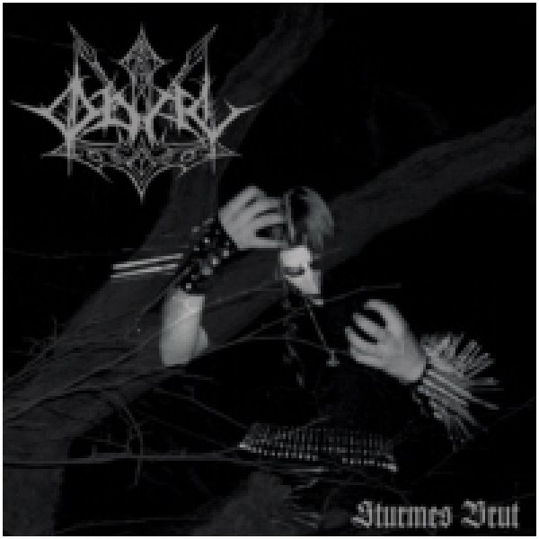 画像1: Odal - Sturmes Brut / CD (1)