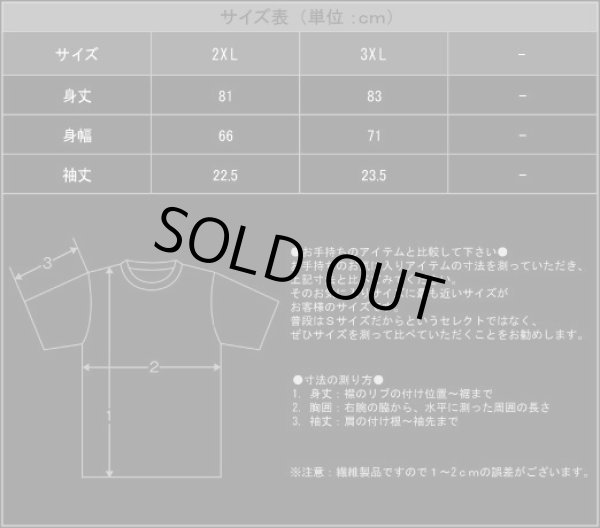 画像3: Manzer - Japan Tour / T-Shirts (3)
