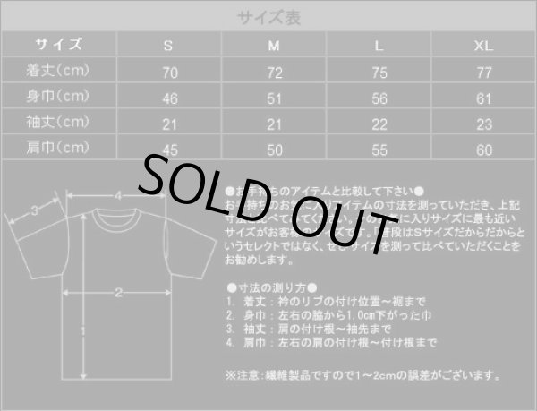 画像2: Manzer - Japan Tour / T-Shirts (2)