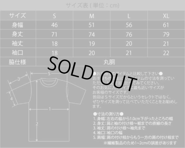 画像2: Vlad Tepes / Belketre - March to the Black Holocaust / T-Shirts (2)