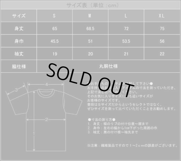 画像2: Tenebrae Oboriuntur - Black Hysteria / T-Shirts (2)
