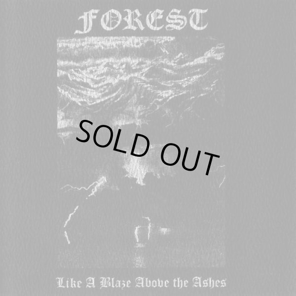 画像1: Forest - Like a Blaze Above the Ashes / CD (1)