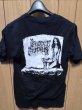 画像2: Preteen Deathfuk / T-Shirts (2)
