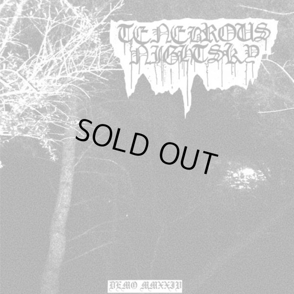 画像1: Tenebrous Nightsky - Demo MMXXIV / CD (1)