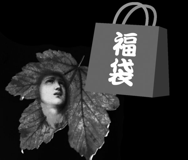 画像1: 2026年葬式袋 (1)