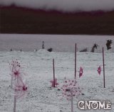 ZDR 012] Gnome - Silent Scream (2026) / CD - Zero Dimensional