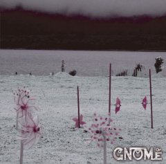 [ZDR 012] Gnome - Silent Scream (2026) / CD