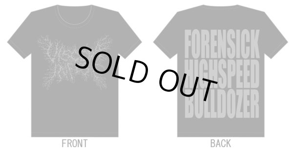 画像2: Viscera Infest - Logo / T-Shirts (2)