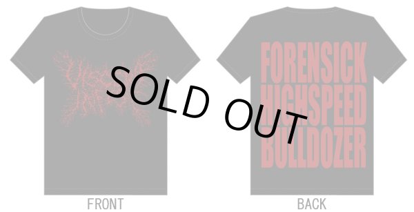 画像1: Viscera Infest - Logo / T-Shirts (1)