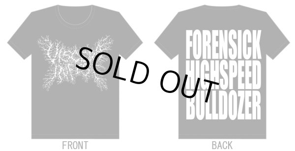 画像3: Viscera Infest - Logo / T-Shirts (3)