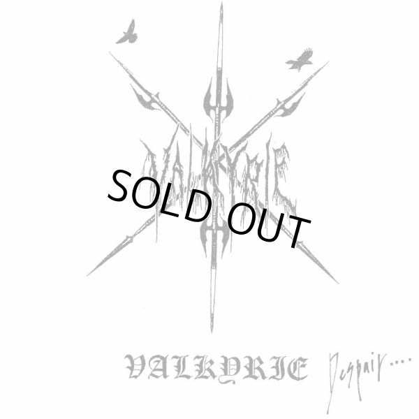 画像1: Valkyrie - Despair / CD-R (1)