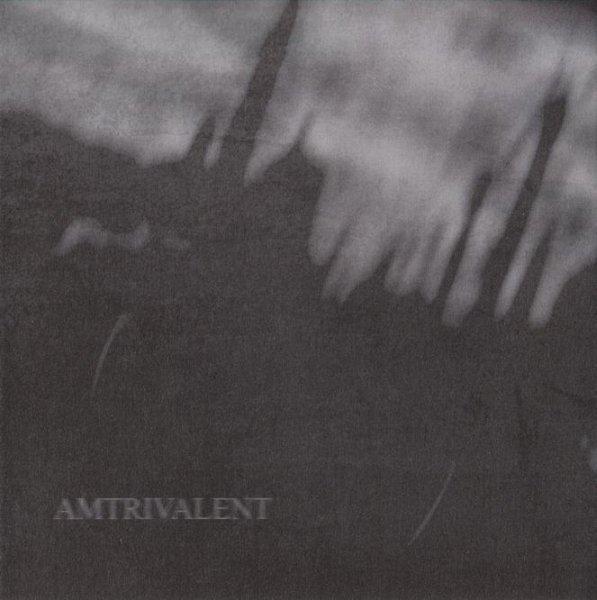 画像1: Lifeless Within / Negative Or Nothing / Fliegend - Amtrivalent / CD (1)