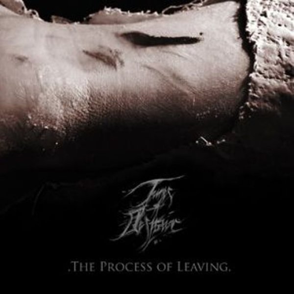 画像1: Tunes of Despair - The Process of Leaving / CD (1)