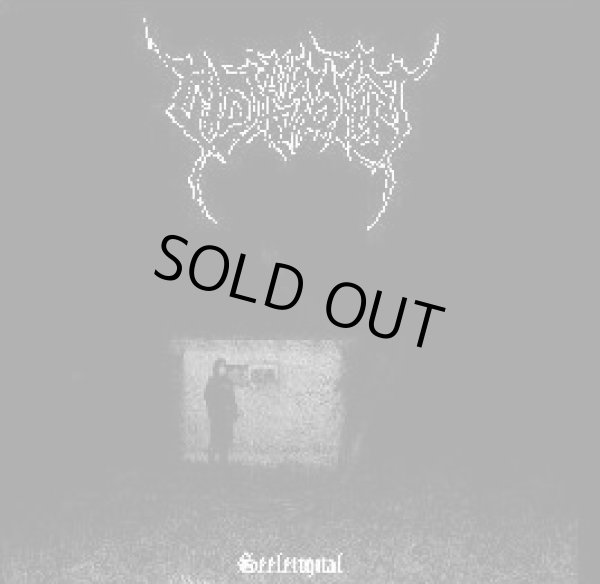 画像1: Wolfsblut - Seelenqual / CD (1)