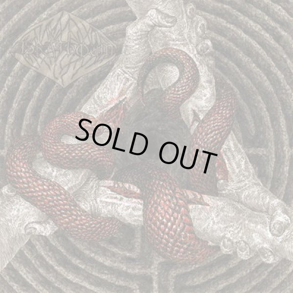 画像1: Israthoum - Black Poison and Shared Wounds / CD (1)