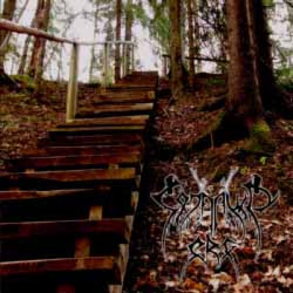 画像1: Sojaruun - Org / CD (1)