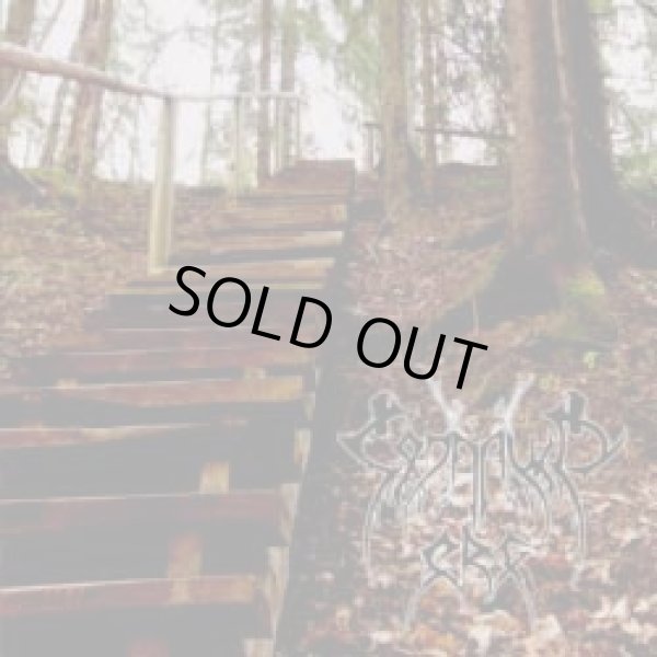 画像1: Sojaruun - Org / DigiCD (1)