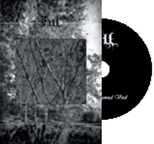 画像1: Fall - Black Autumnal Void / DVDcaseCD-R (1)