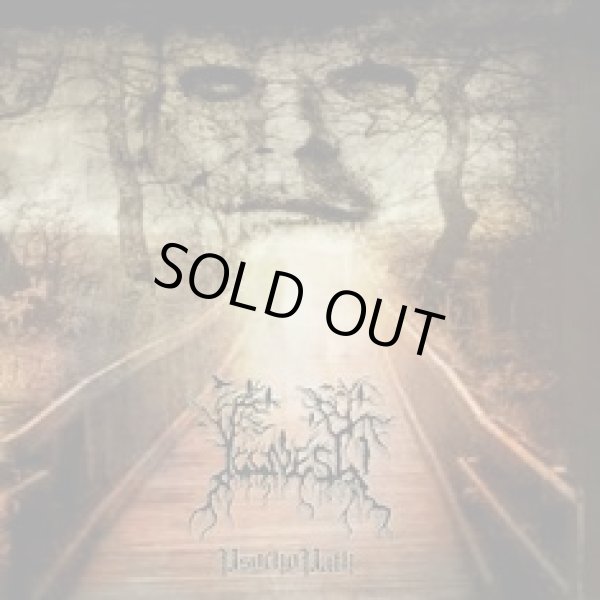 画像1: Illness - PsychoPath / CD (1)