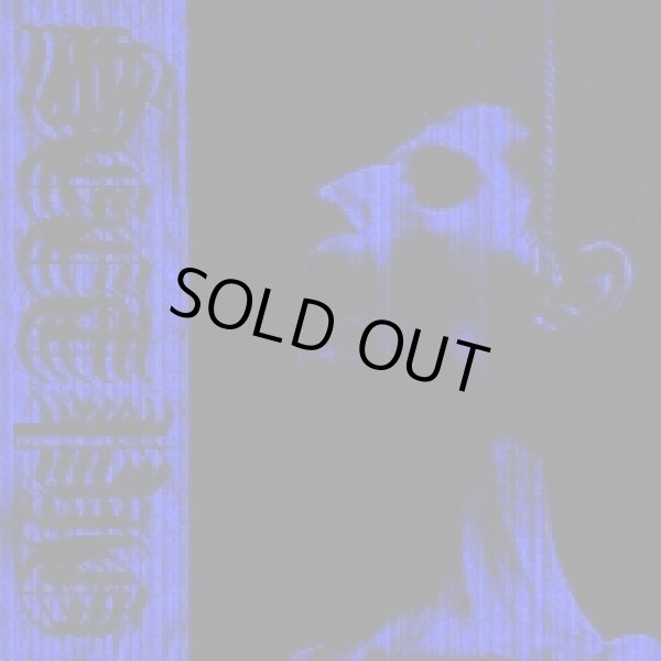 画像1: Sect Pig - Slave Destroyed / CD (1)