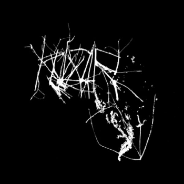 画像1: Klor - Klor / DigiCD (1)