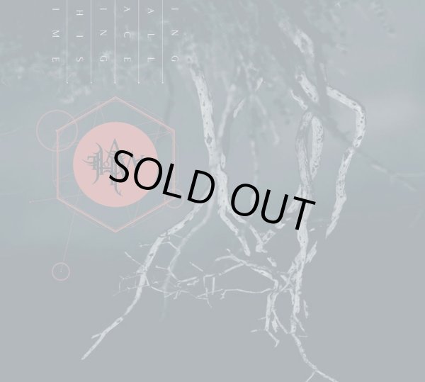 画像1: Thaw - Thaw / DigiCD (1)