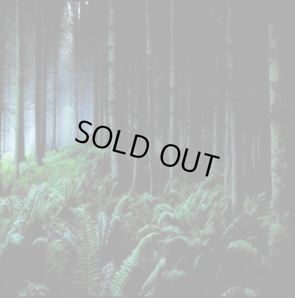 画像1: Astarot - As Leaves Fall / CD (1)