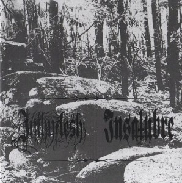 画像1: Inthyflesh / Insalubre - Split / EP (1)