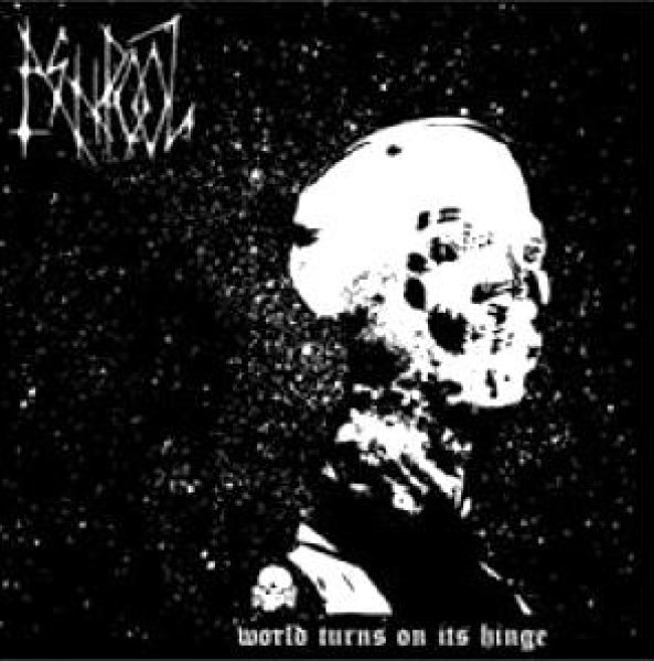 画像1: Ash Pool - World Turns on Its Hinge / CD (1)