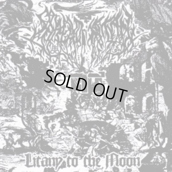 画像1: Shroud of Satan - Litany to the Moon / LP (1)