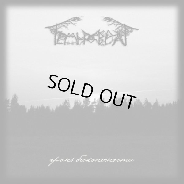 画像1: Temnovrat - Грань бесконечности / CD (1)