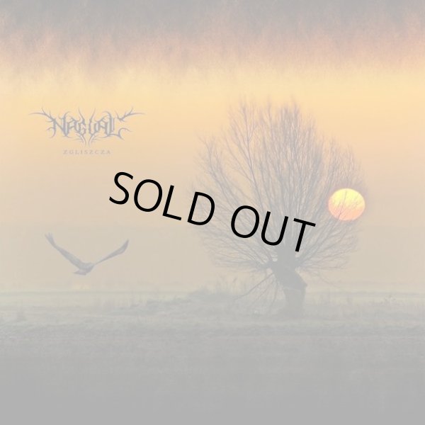 画像1: Nagual - Zgliszcza / CD (1)