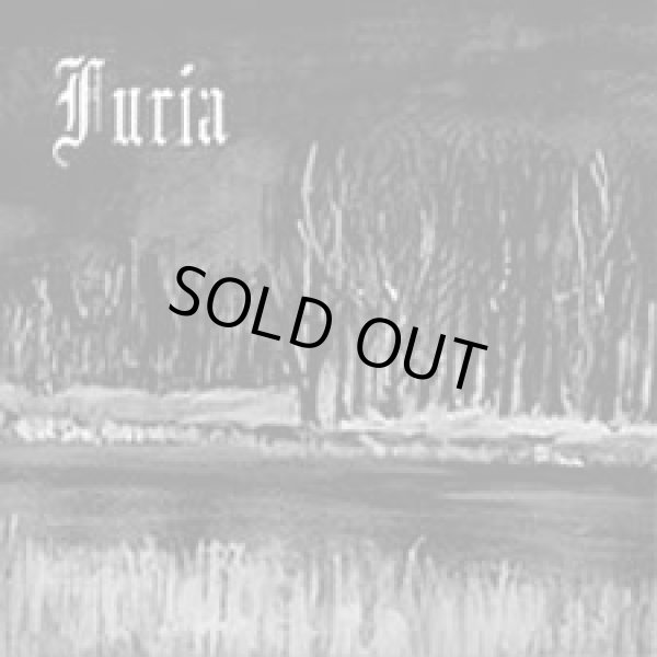 画像1: Furia - I krzyk / CD (1)