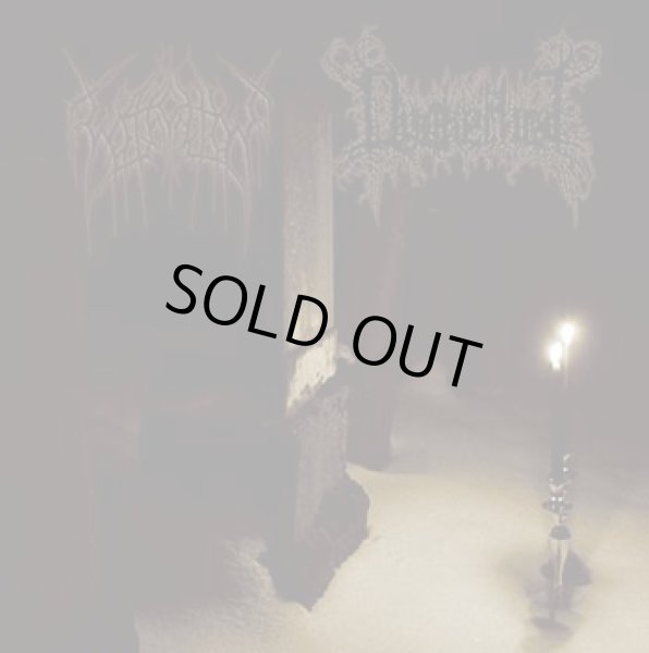 画像1: Wacht / Dunkelheit - Split / CD (1)