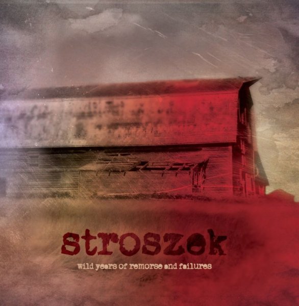 画像1: Stroszek - Wild Years Of Remorse And Failure / 2CD (1)
