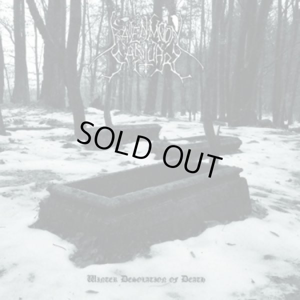 画像1: Ravenmoon Sanctuary - Winter Desolation of Death / DigiCD (1)
