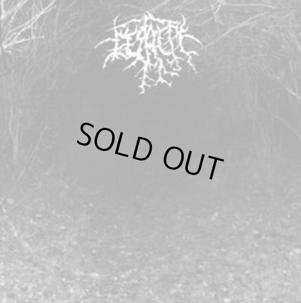 画像1: Gestalte - Gestalte / CD (1)