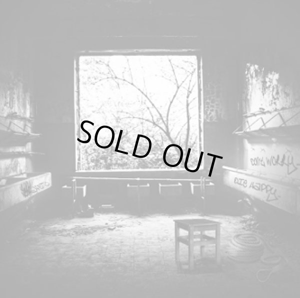 画像1: Like Desolate like True - Don't Worry...Die Happy... / DigiProCD-R (1)