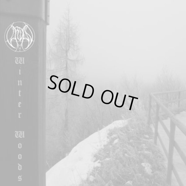 画像1: Vardan - Winter Woods / CD (1)