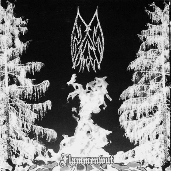 画像1: Ensom Skogen / Forgotten Spell / Moonblood - Flammenwut / Aesthetics of the Necromantic Manifestation / The Unholy / CD (1)