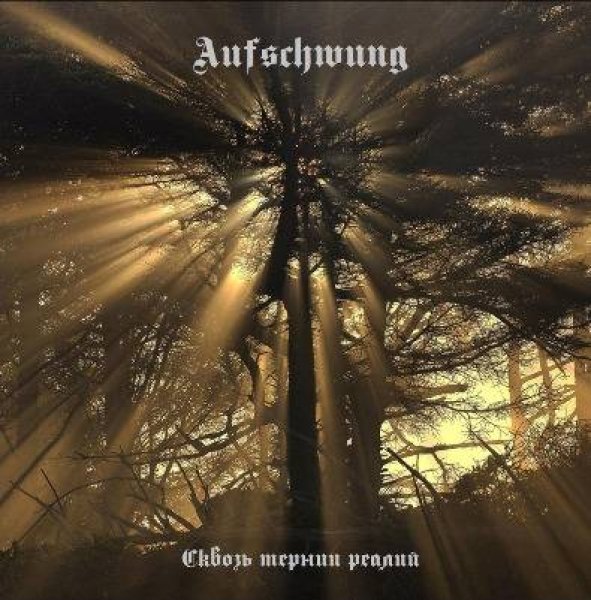 画像1: Aufschwung - Сквозь тернии реалий / CD (1)