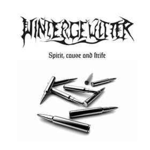 画像1: Wintergewitter - Spirit, Cause and Strife / DigiCD (1)