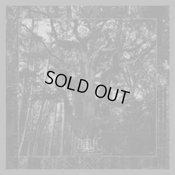 画像1: Enisum - Seasons of Desolation / DigiCD (1)