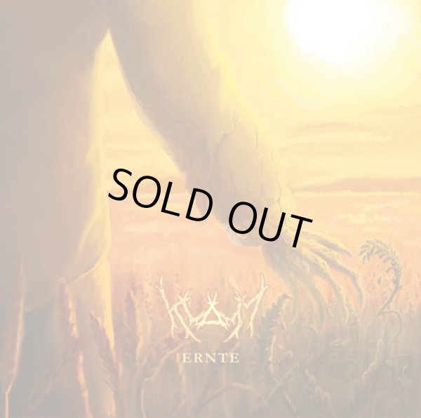 画像1: Klamm - Ernte / DigiCD (1)