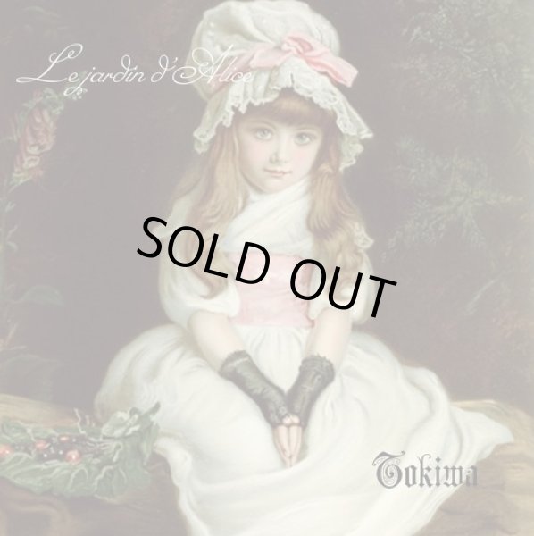 画像1: Le jardin d'Alice  - Tokiwa / DIY CD-R (1)